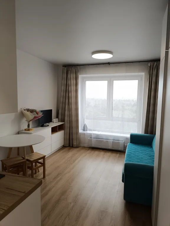 Уютная студия с видом на лес