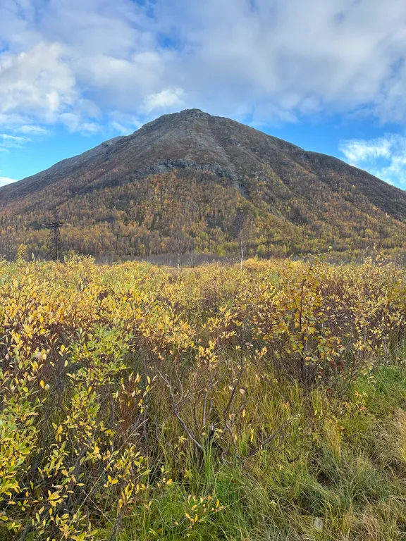 Апартамент - студия с видом на горы и дополнительным спальным местом