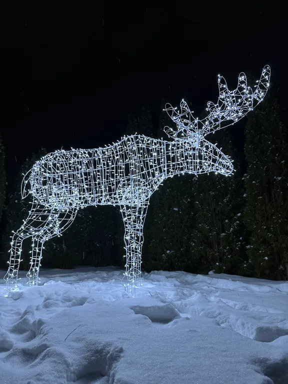 Уютный дом-лофт с видом на лес и реку