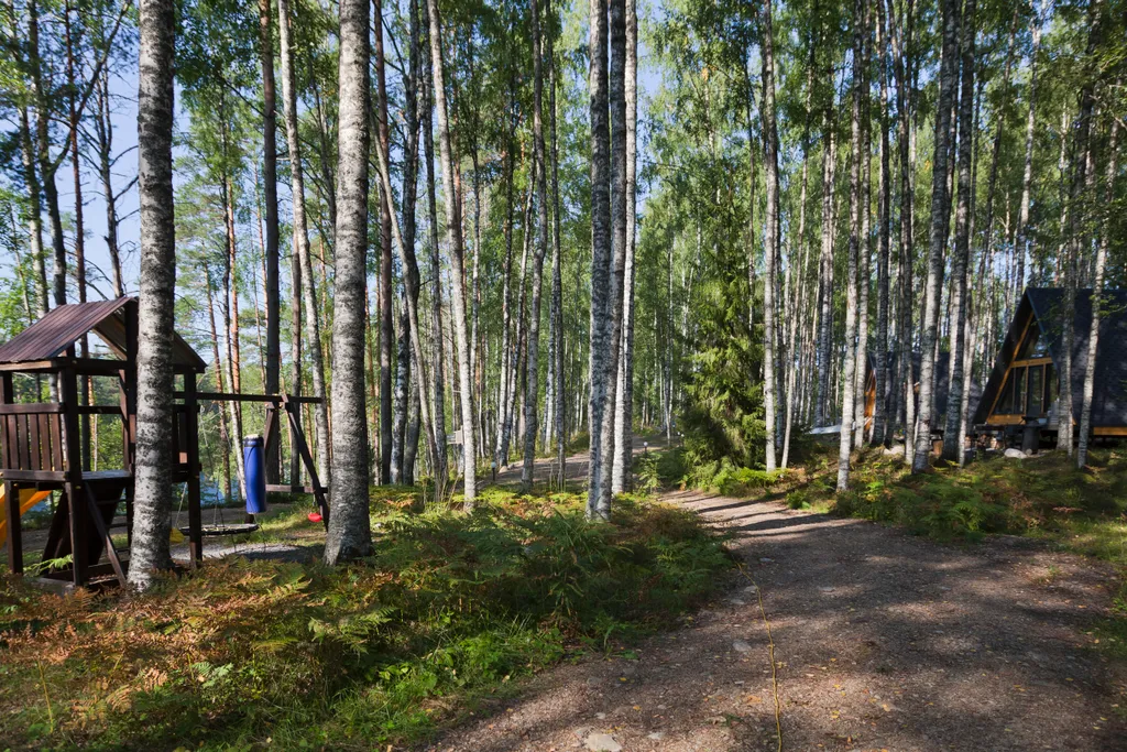 Руна Леса Карелия