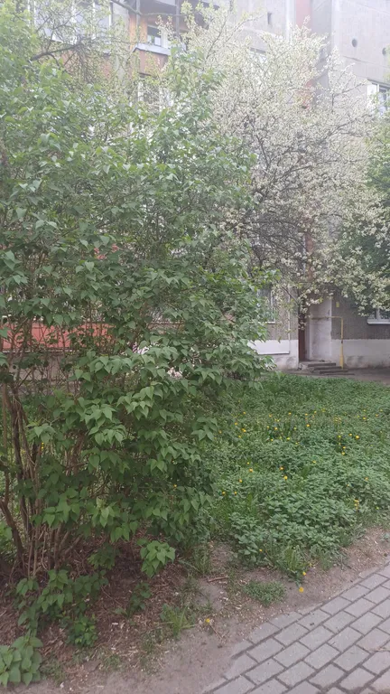 Квартира Уютная квартира в центре города — Калининград