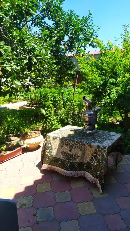 Дом, все в нем!