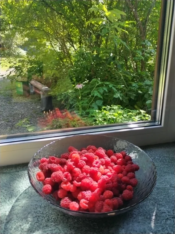 Дом в сосновом лесу