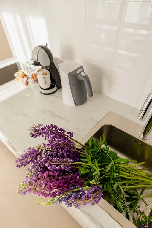 Квартира Квартира Уютная студия рядом с НИИ Петрова — Песочный