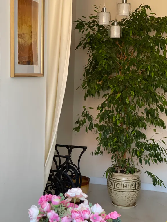 Квартира в сердце города