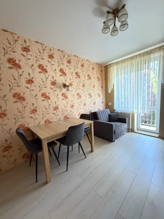 Квартира 1-комнатная Квартира — Светлогорск