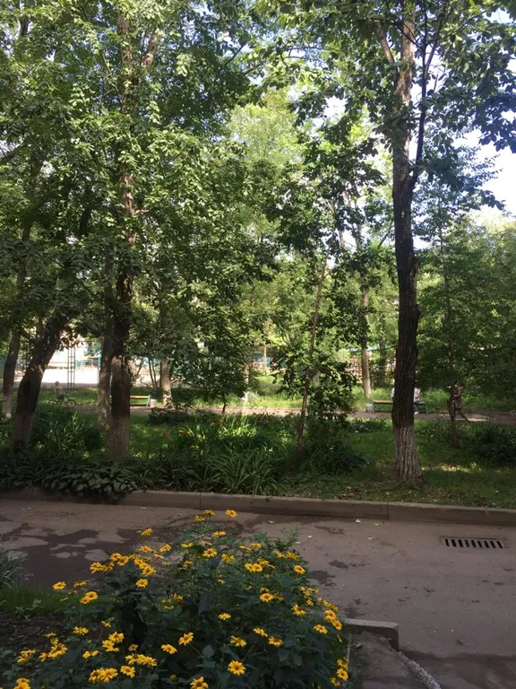 Уютная квартира в хорошем районе