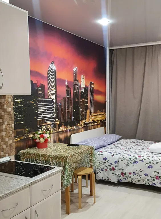 Уютная студия Мегаполис с большими окнами и плотными шторами