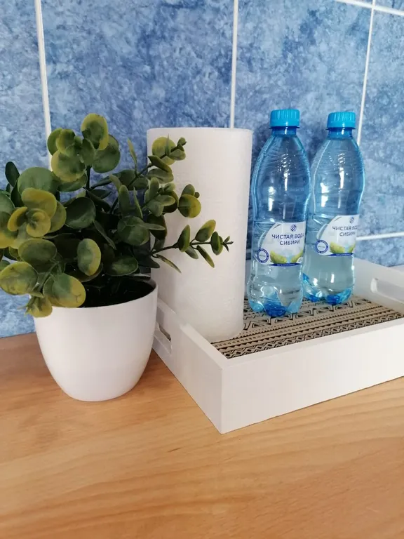 Квартира Заботливая квартира через дорогу от ТРЦ Планета — Красноярск