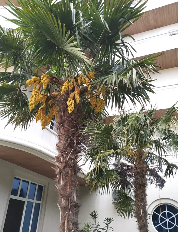 Бросай якорь здесь