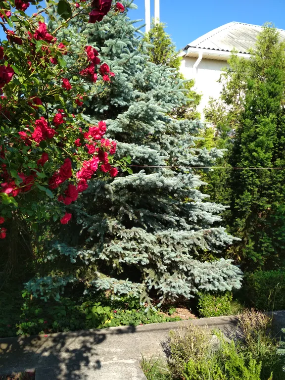 Уютный домик в поселке