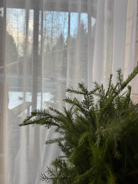 Коттедж Уютный дом на опушке леса с баней и сибирским банным чаном — Москва