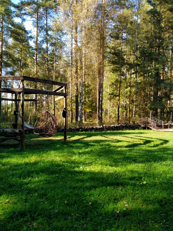 Уютный домик с видом на лес