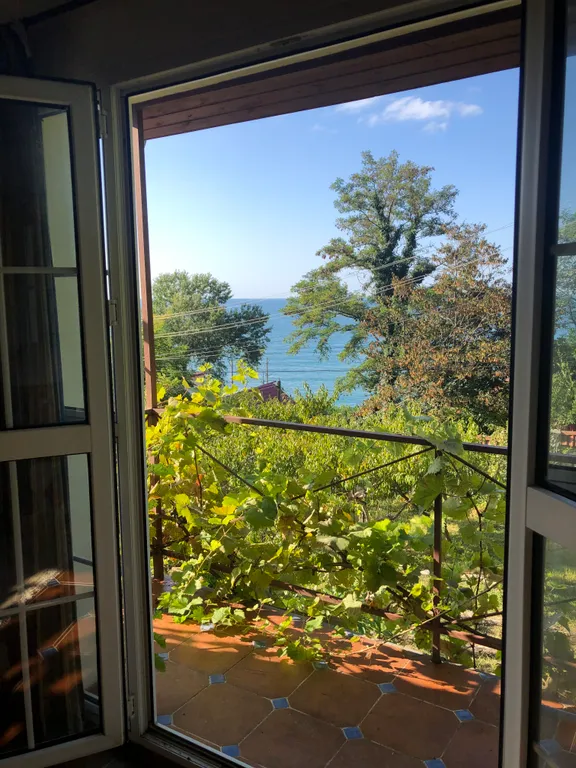 Два дома на море с бассейном и садом