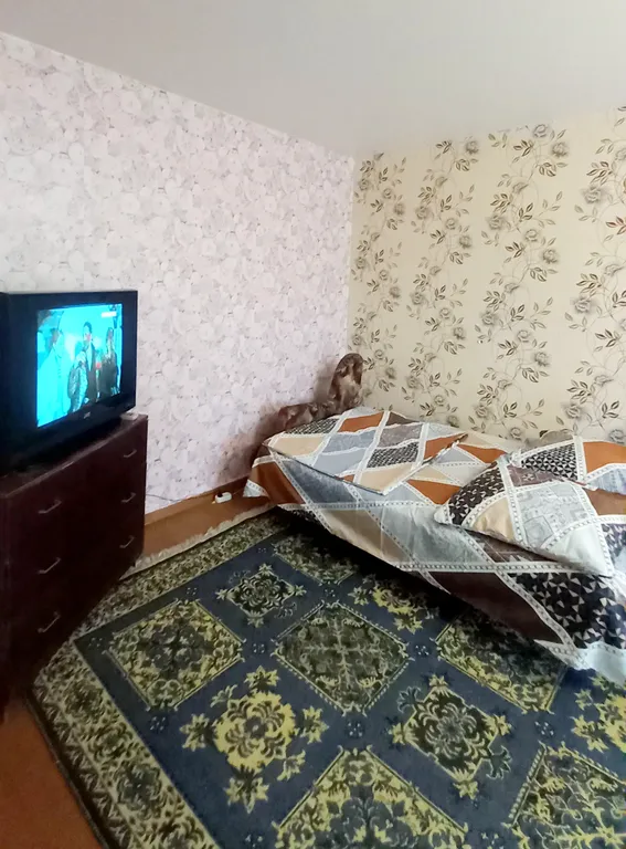 Квартира у парка Берендеевка