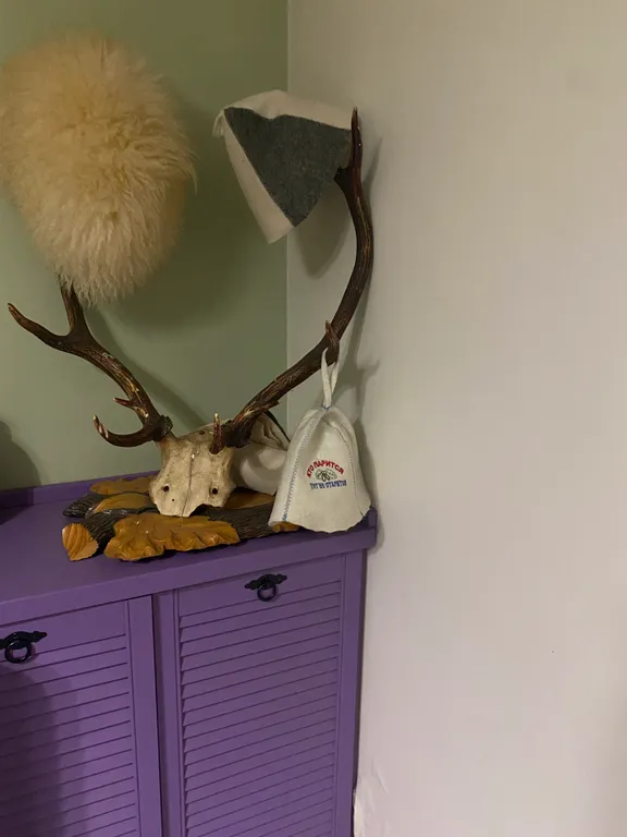 Дом с камином, бассейном, баней и джакузи