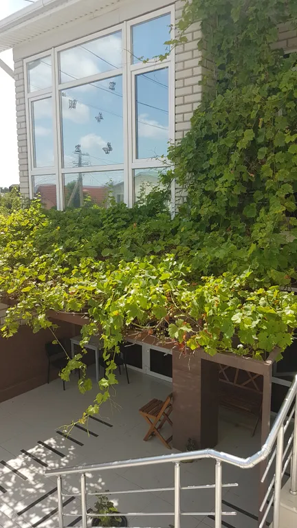 Квартира Золотая комната с отдельным выходом во двор — Геленджик