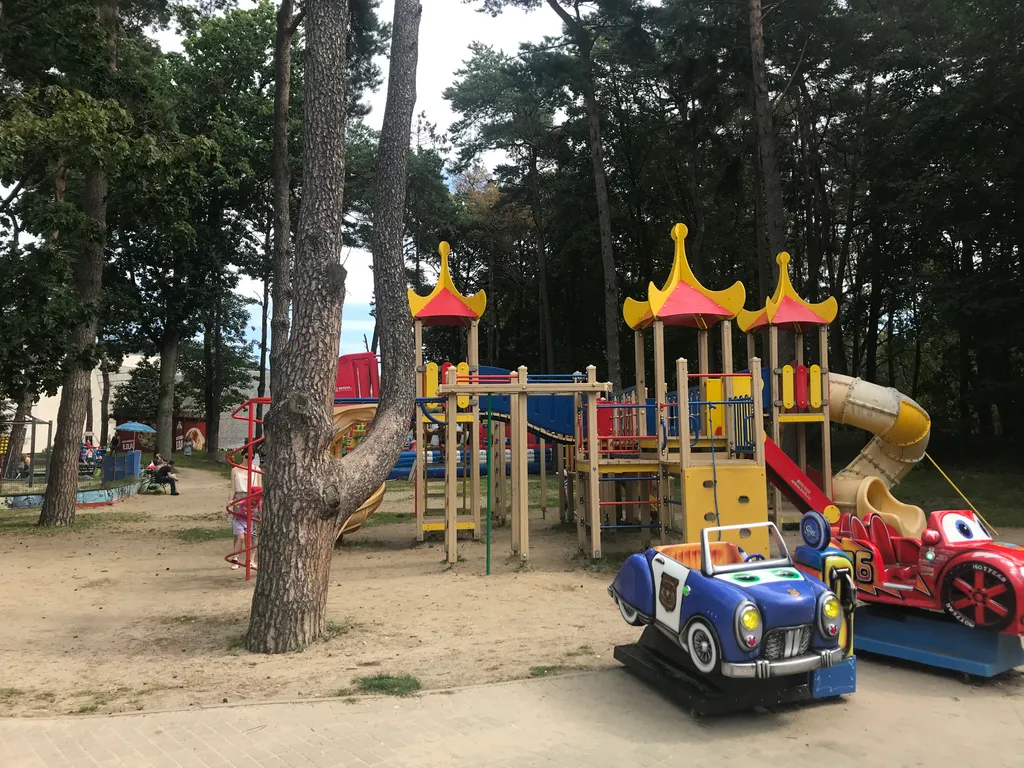 Квартира 1-комнатная Квартира — Светлогорск