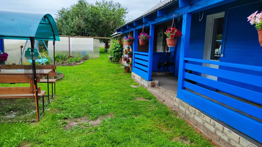 У Александра