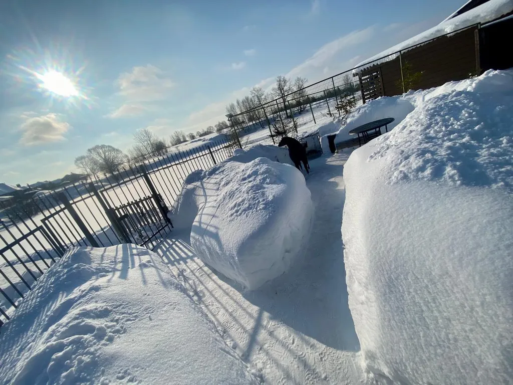 Коттедж Домик-баня на берегу речки — Духанино
