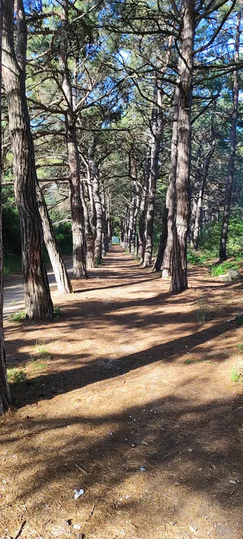 Коттедж Часть дома со своим двором и беседкой — Геленджик