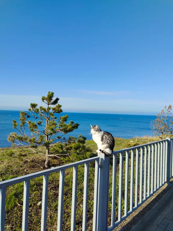 Квартира Уютная квартира с видом на море у Храма Святого Владимира — Анапа