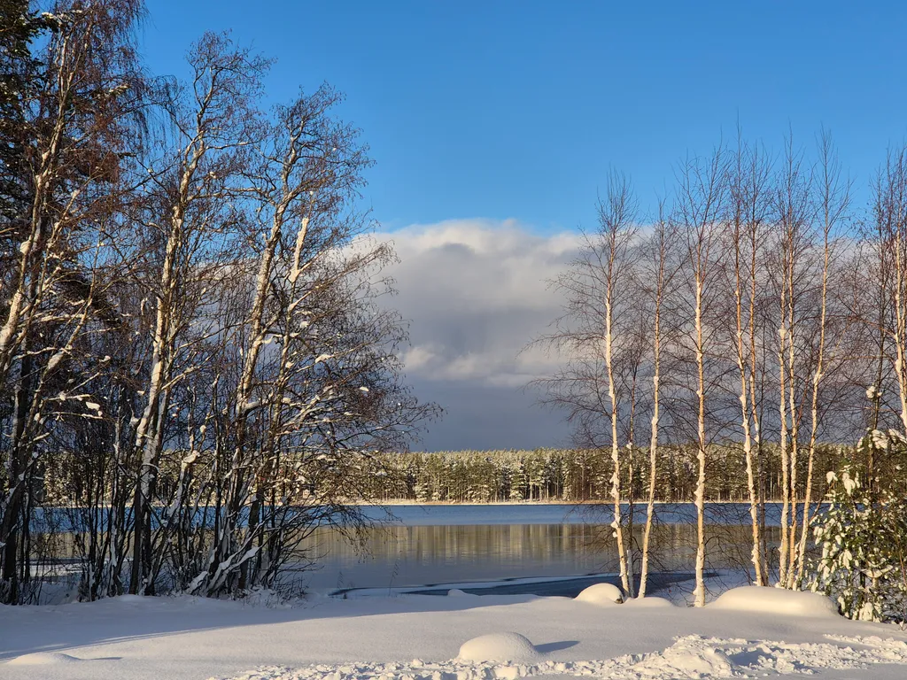 Коттедж Уютнейший дом с роскошным видом на озеро — Ларионово