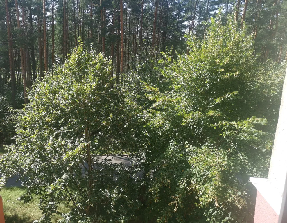 Уютная, чистая 2-х комнатная квартира