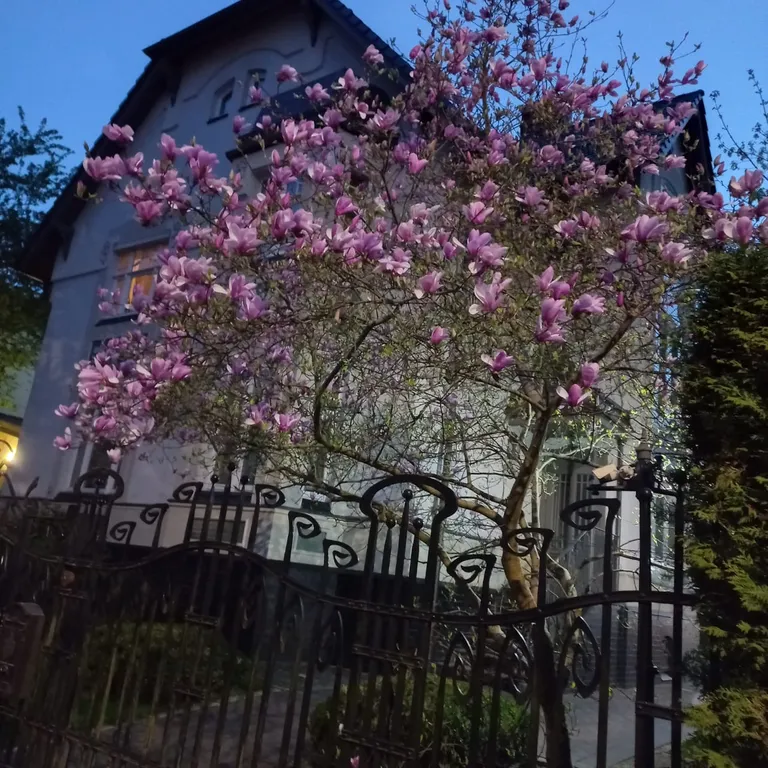 Квартира Уютная квартира в исторической части города — Калининград