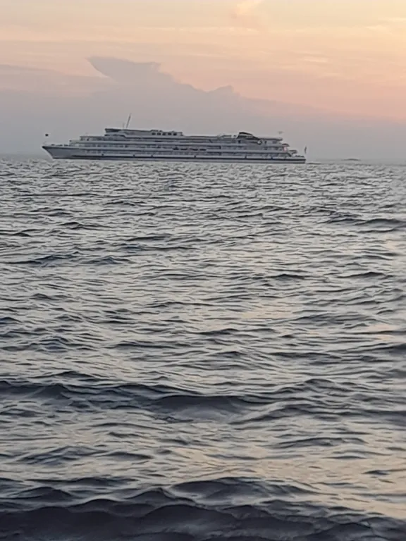 Квартира в сосновом бору