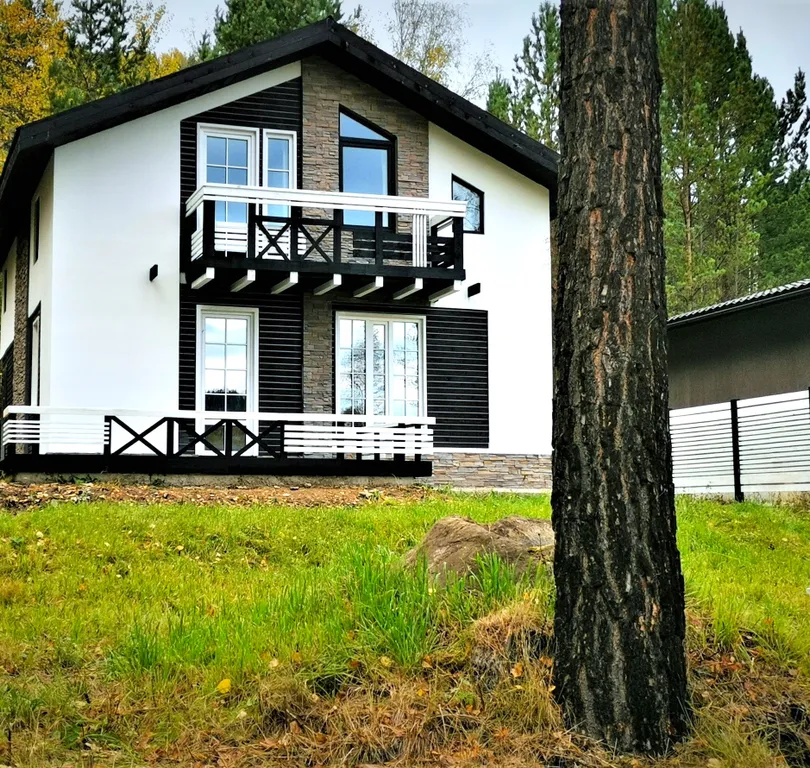 Дом с котом