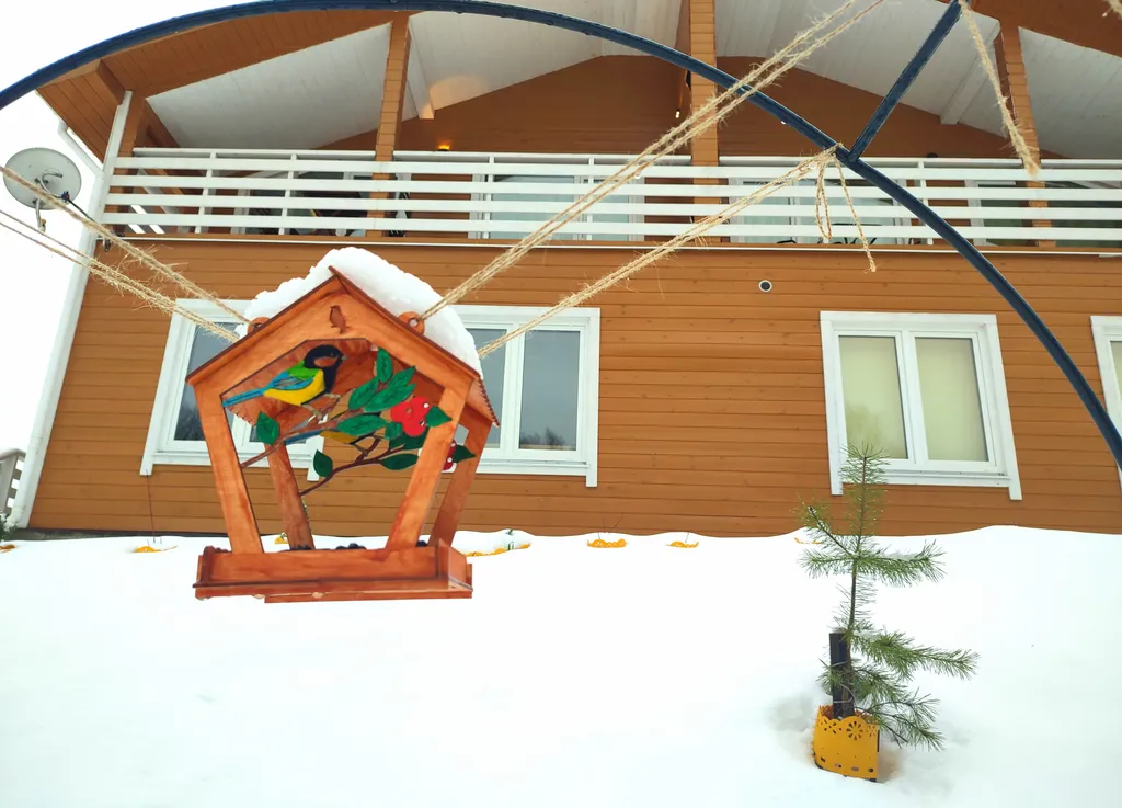 Петербургская дача на холме прямо у озера