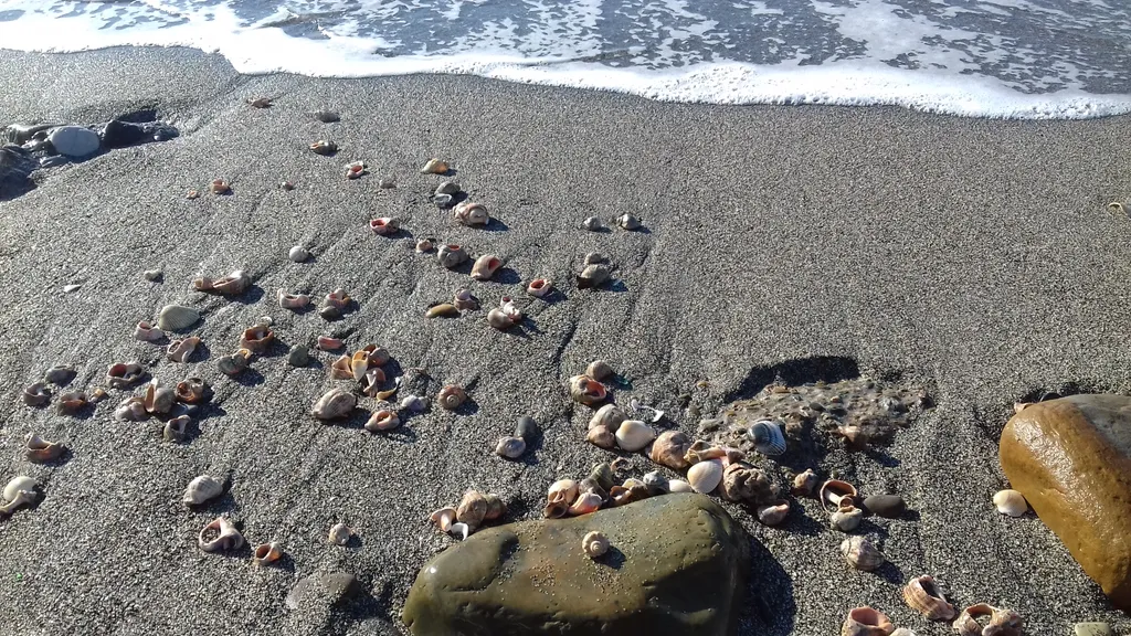 Студия в доме у моря