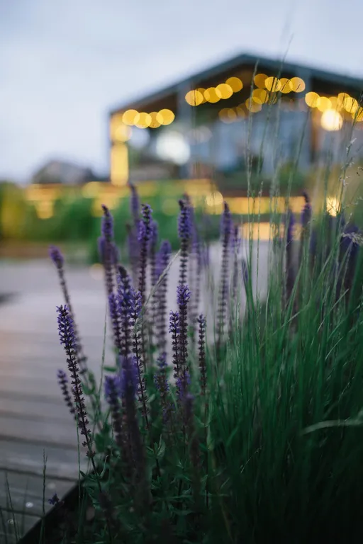 Коттедж Коттедж Recovery home — Прилесный