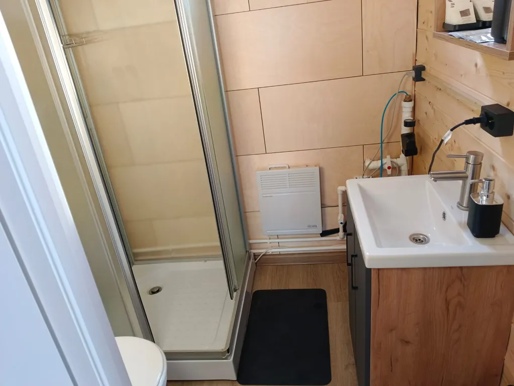 Виноградная лоза