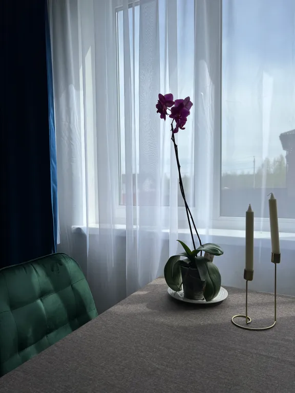 Дом в тихом спокойном месте