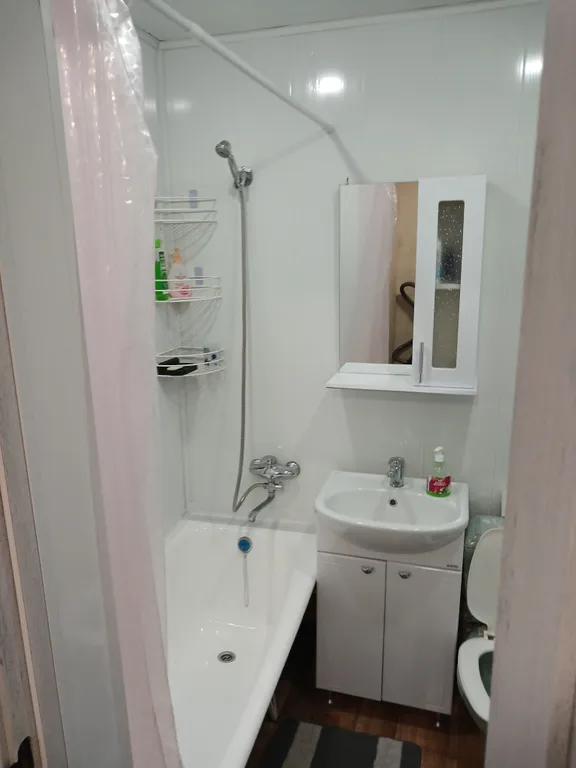 1-комнатная квартира в центре