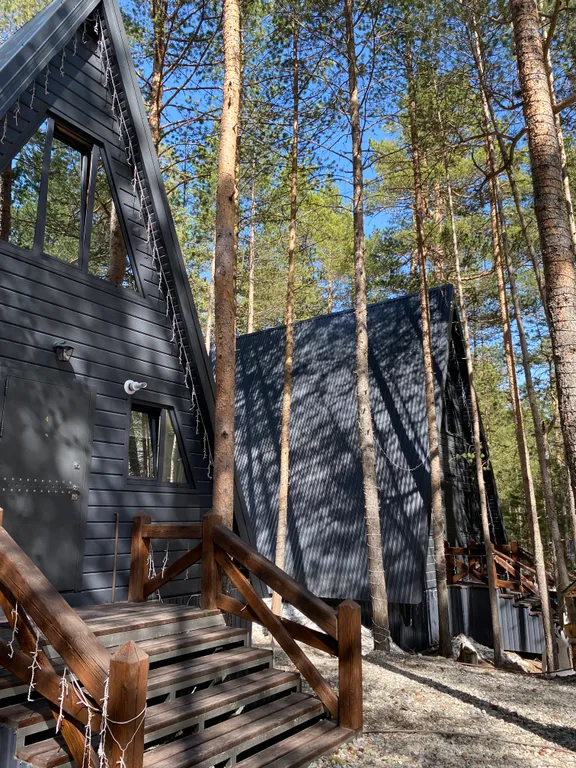 Семейный дом стандарт с видом на сосновый лес