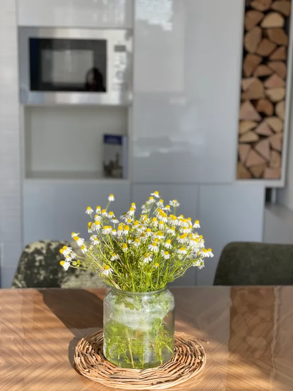 Квартира Квартира с огромной террасой и дизайнерским ремонтом — Светлогорск