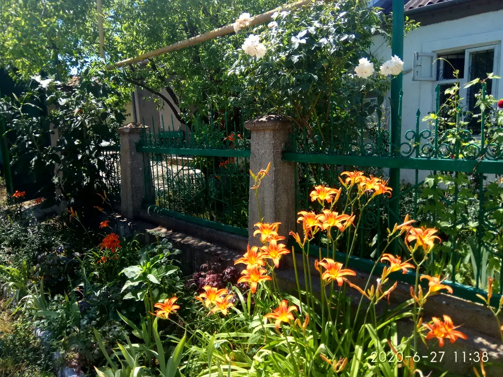 Комната с видом на осенний двор и сад