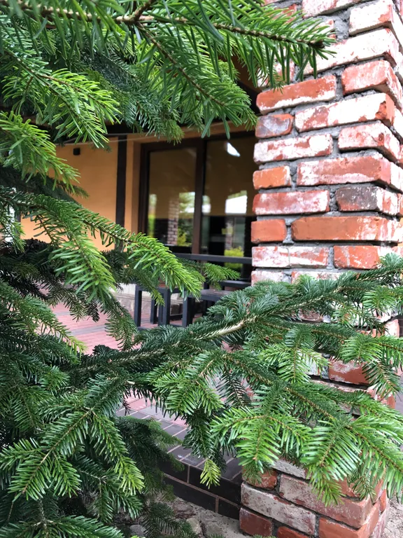 Коттедж Уютный дом у моря — Зеленоградск