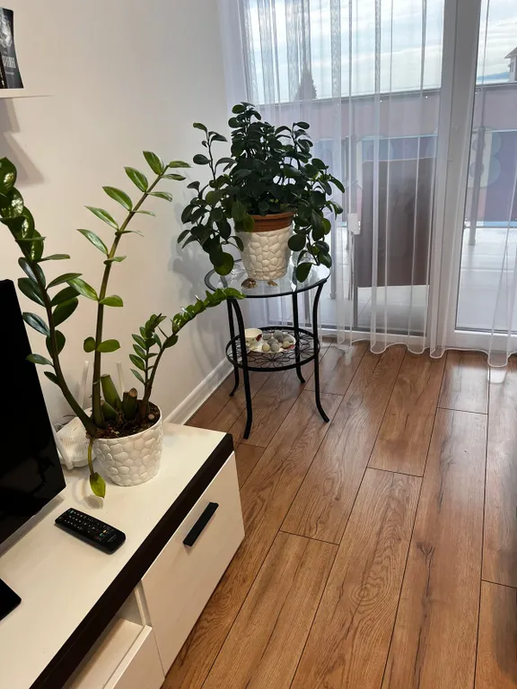 Квартира на пляже у самого моря