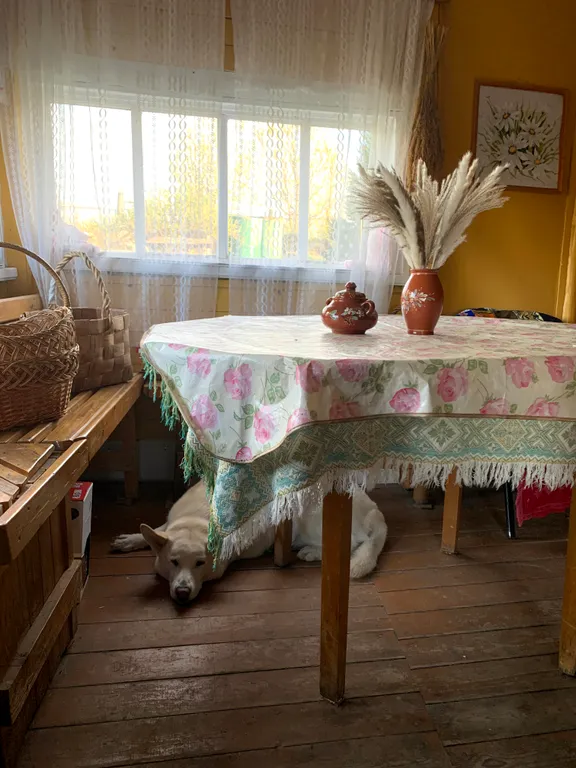 Дом в городе петрозаводске с красивым уединённым участком и баней