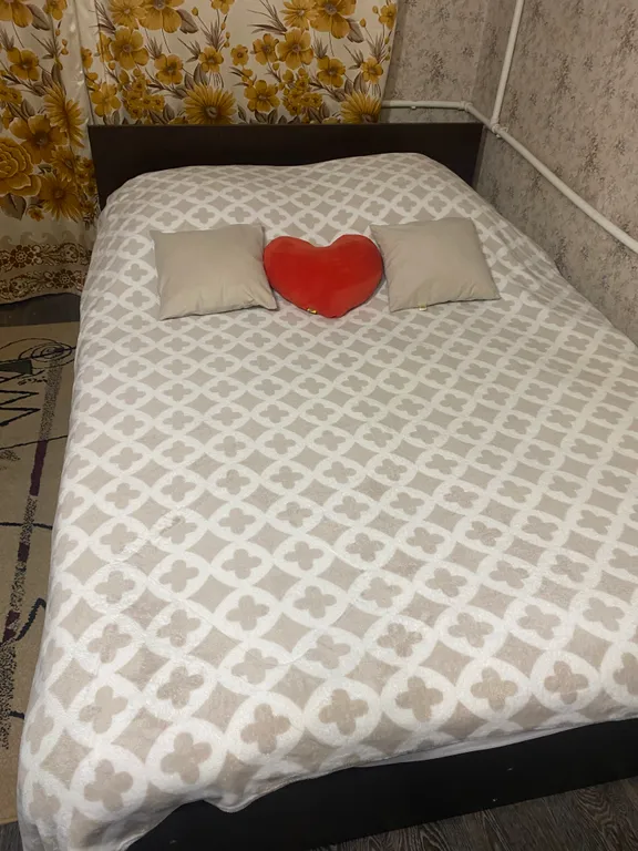 Однокомнатная квартира в центре города