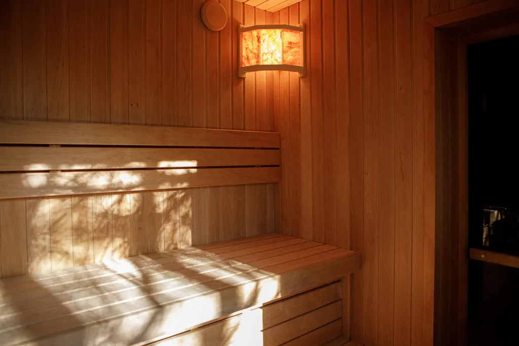 Дом с сауной и горячим чаном на участке с соснами