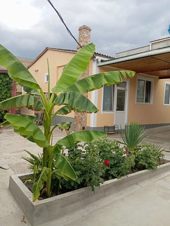 Коттедж Частный дом Nasar — аренда посуточно в Судак