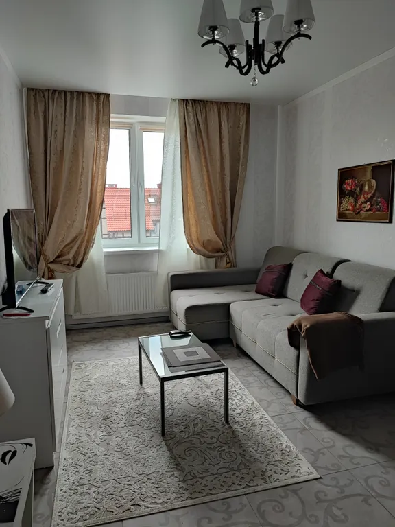 Квартира Квартира Свежий воздух — Светлогорск