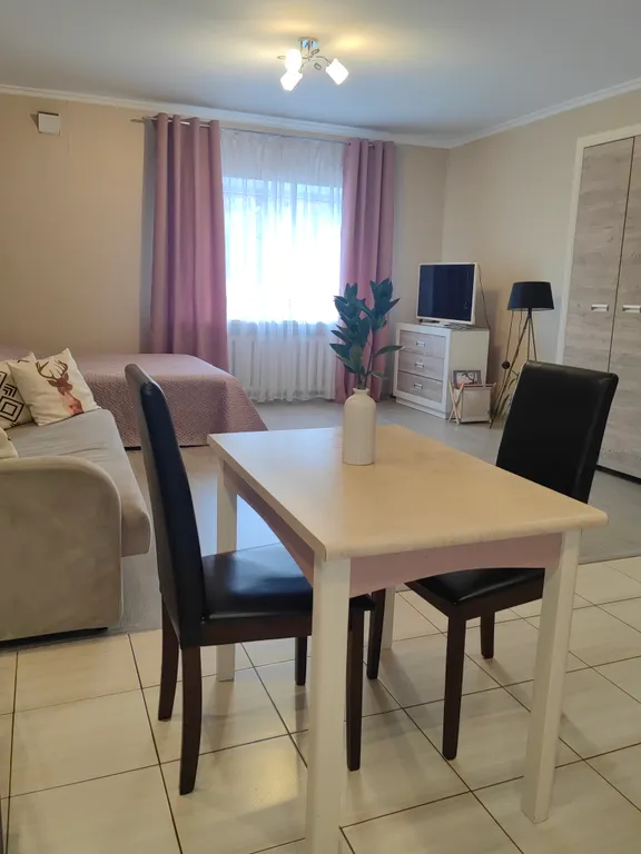 Уютная студия в центре