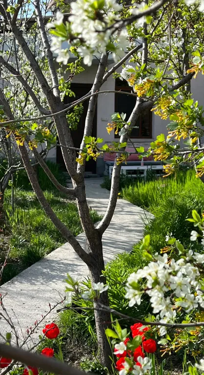 Cozy home in the city center next to Cascade