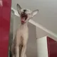 Наталья